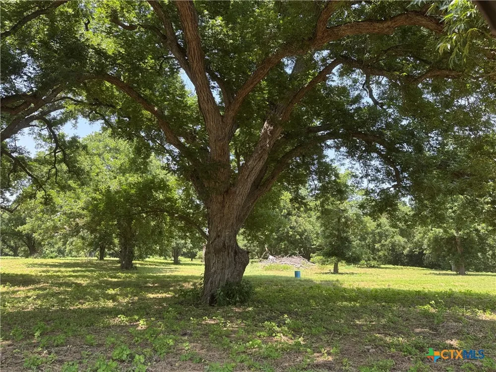 B And B Seguin, TX 78155