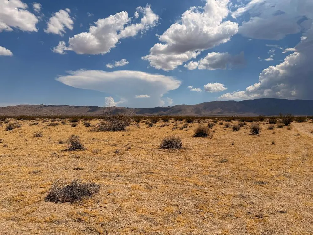 5 Brody Johnson Valley, CA 92285