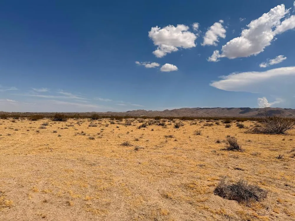 5 Brody Johnson Valley, CA 92285