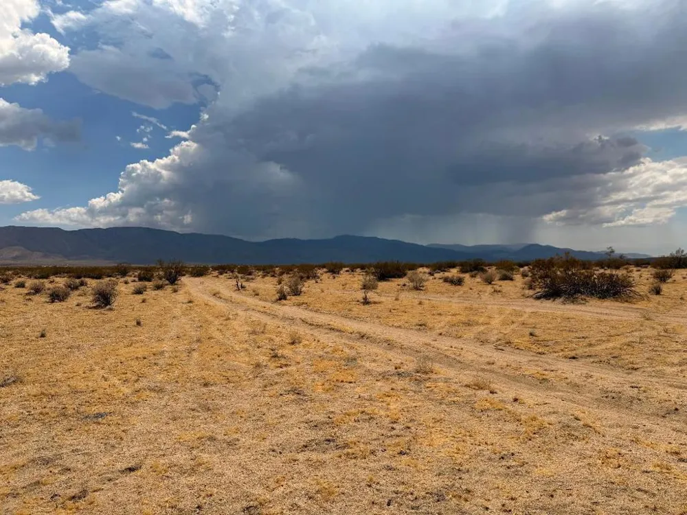 5 Brody Johnson Valley, CA 92285