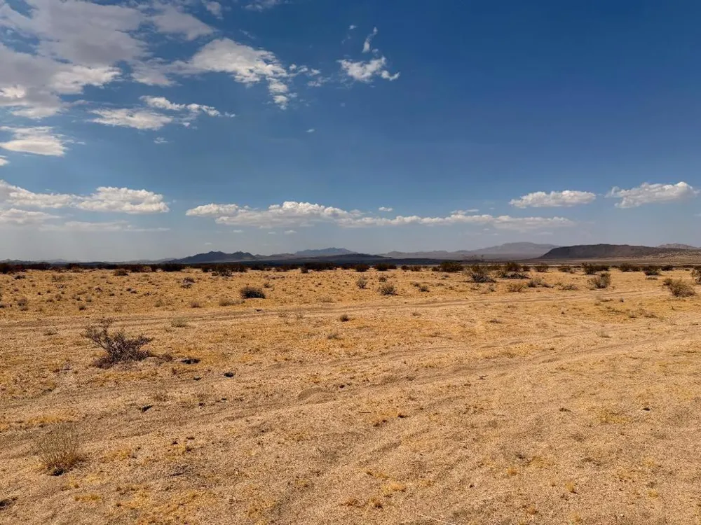 5 Brody Johnson Valley, CA 92285