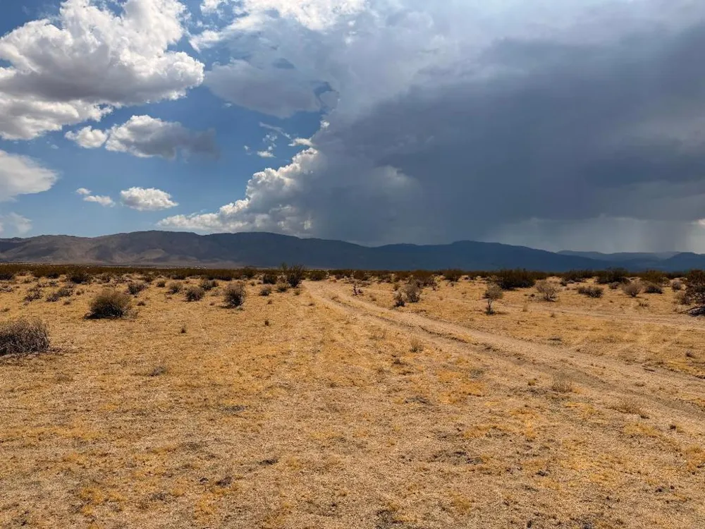 5 Brody Johnson Valley, CA 92285
