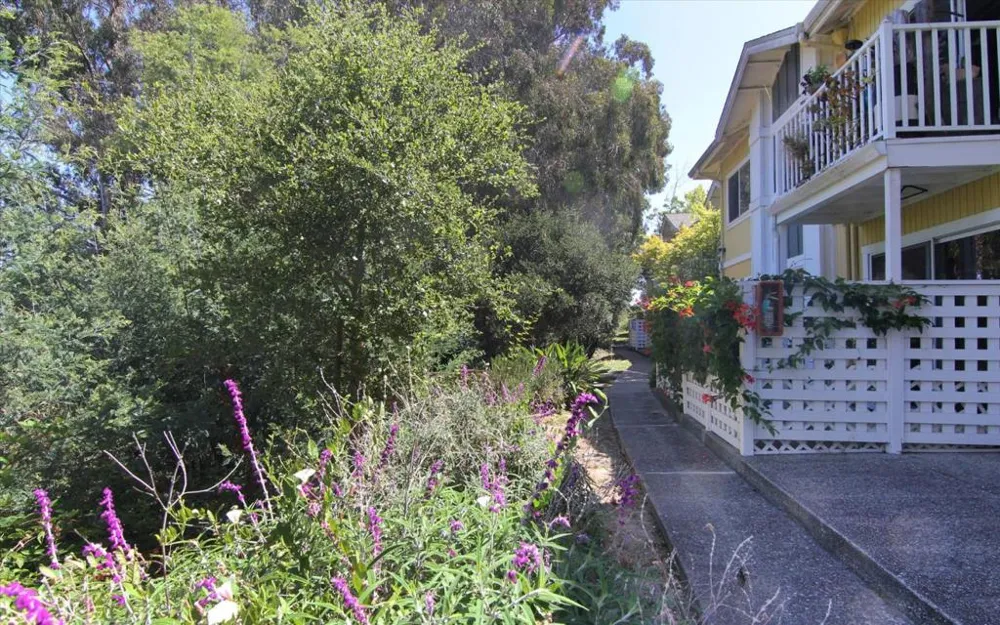 755 14th Avenue #713 Santa Cruz, CA 95062