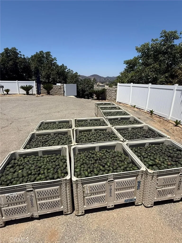 2125 Puerto Del Mundo Fallbrook, CA 92028