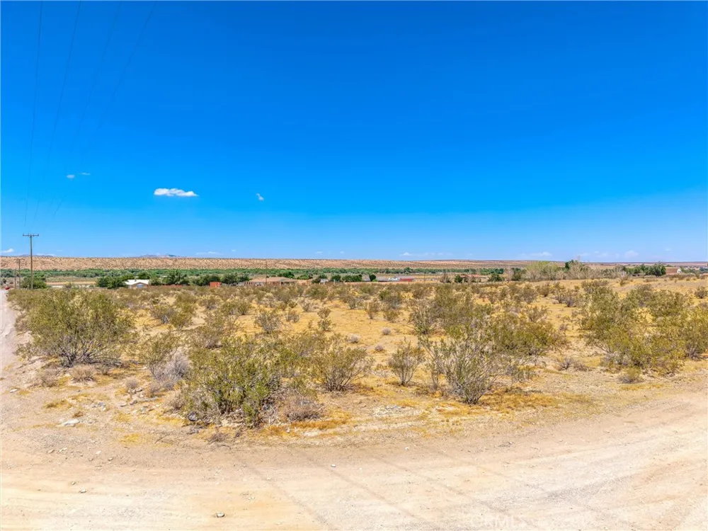 123 Cardigan Rd Oro Grande, CA 92368