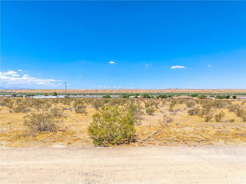 123 Cardigan Rd Oro Grande, CA 92368
