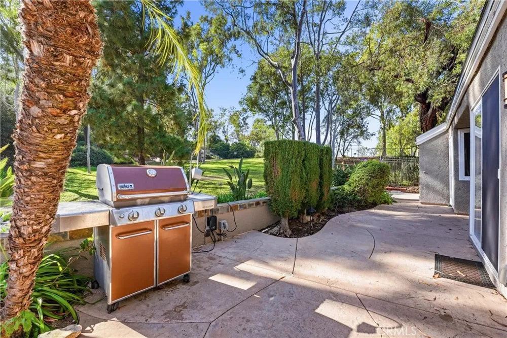 29881 White Otter Laguna Niguel, CA 92677