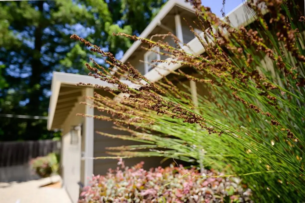 240 Bobs Lane Scotts Valley, CA 95066