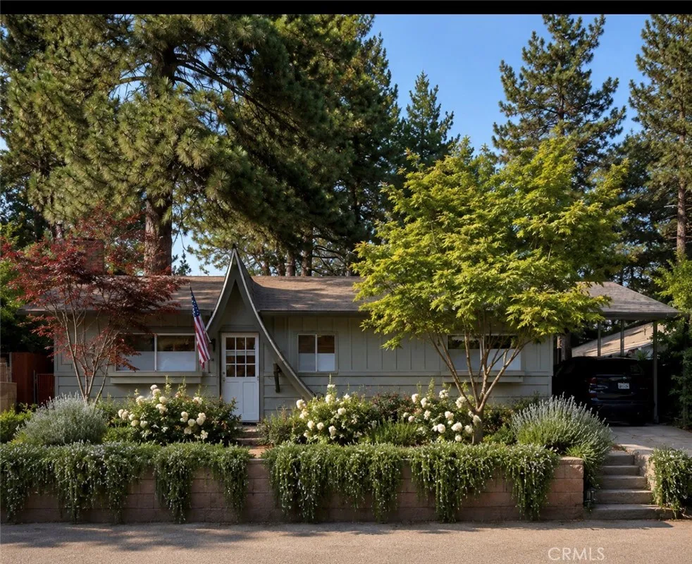 31024 Wild Oak Running Springs, CA 92382