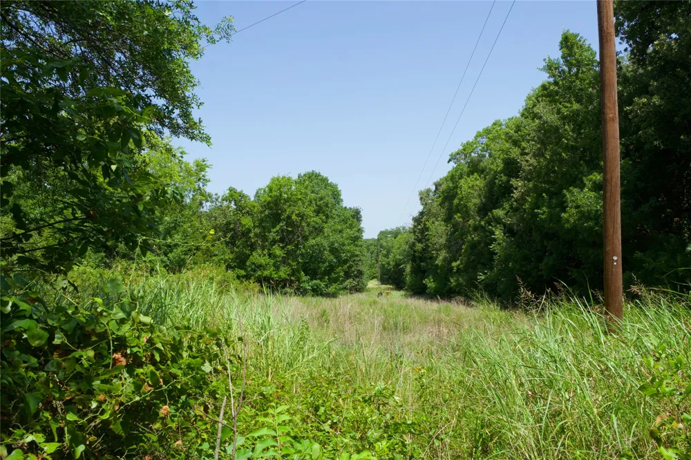 2492 FM 922 Forestburg, TX 76239