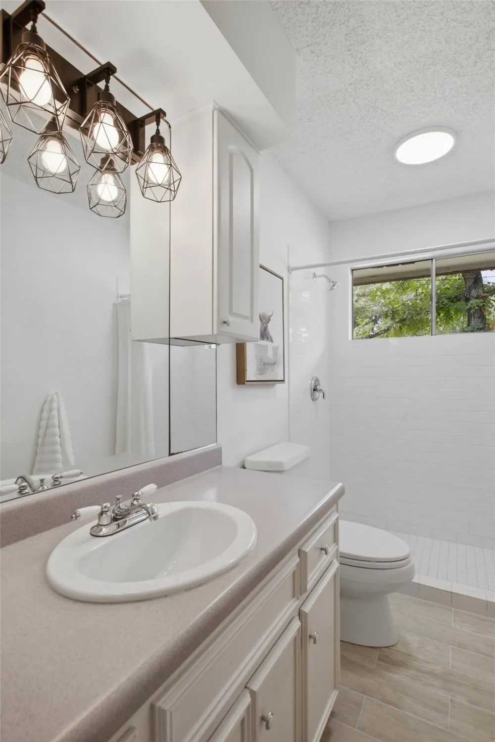 13204 Fawn Valley Drive Cedar Park, TX 78613