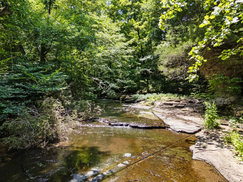 1370 Leatherwood Rd White Bluff, TN 37187