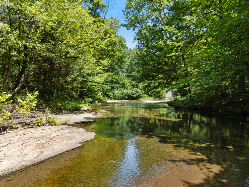 1370 Leatherwood Rd White Bluff, TN 37187