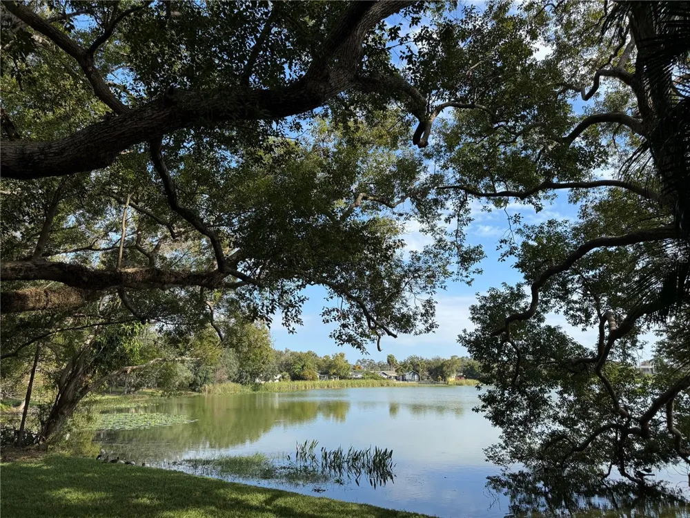 2943 EAGLE LAKE DRIVE Orlando, FL 32837