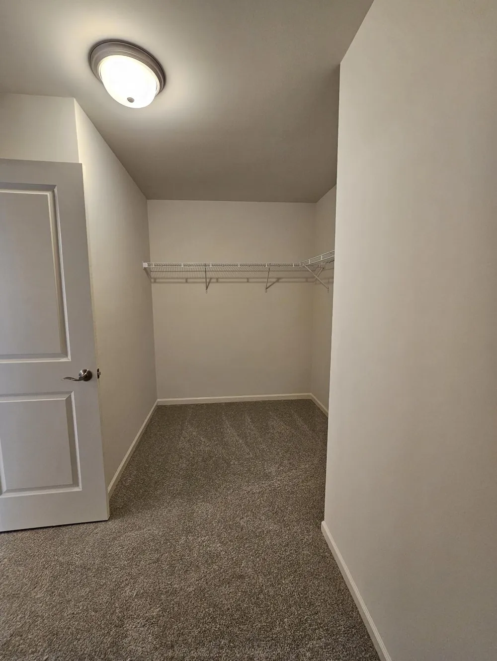10637 Valley View Drive Saline, MI 48176