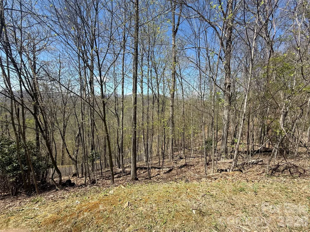 24 Elk Mountain Loop Newland, NC 28657