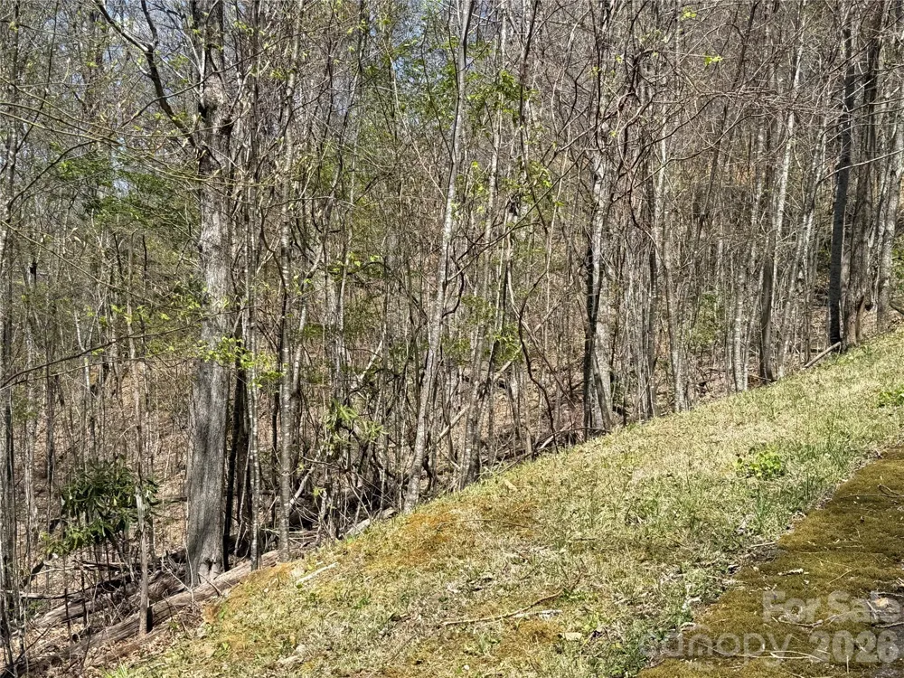 24 Elk Mountain Loop Newland, NC 28657