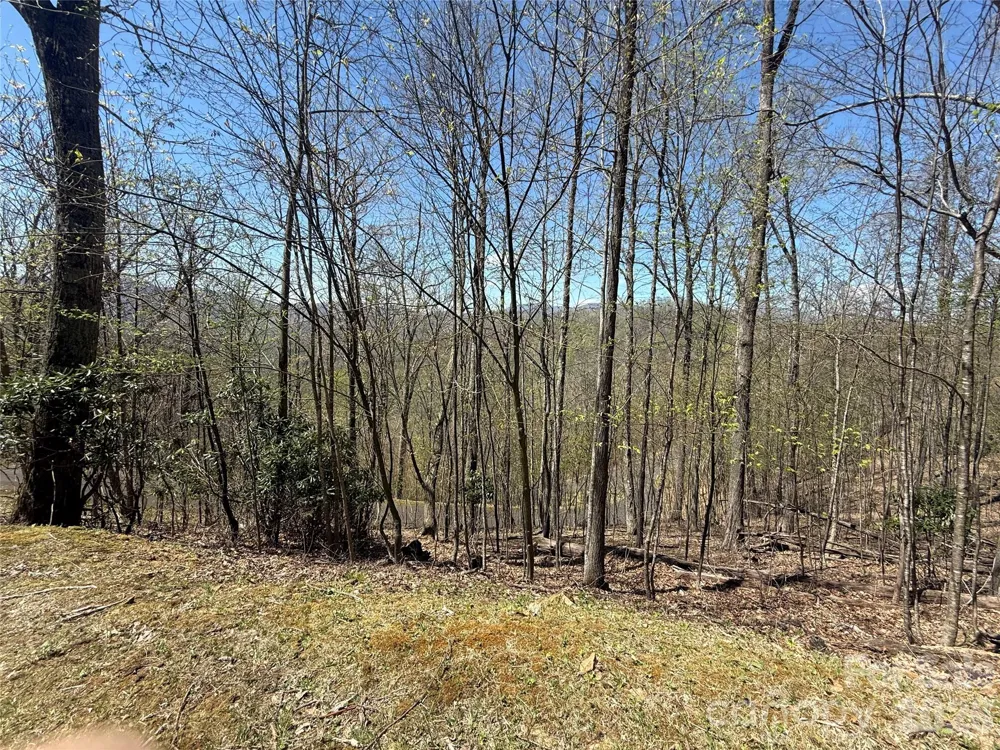24 Elk Mountain Loop Newland, NC 28657