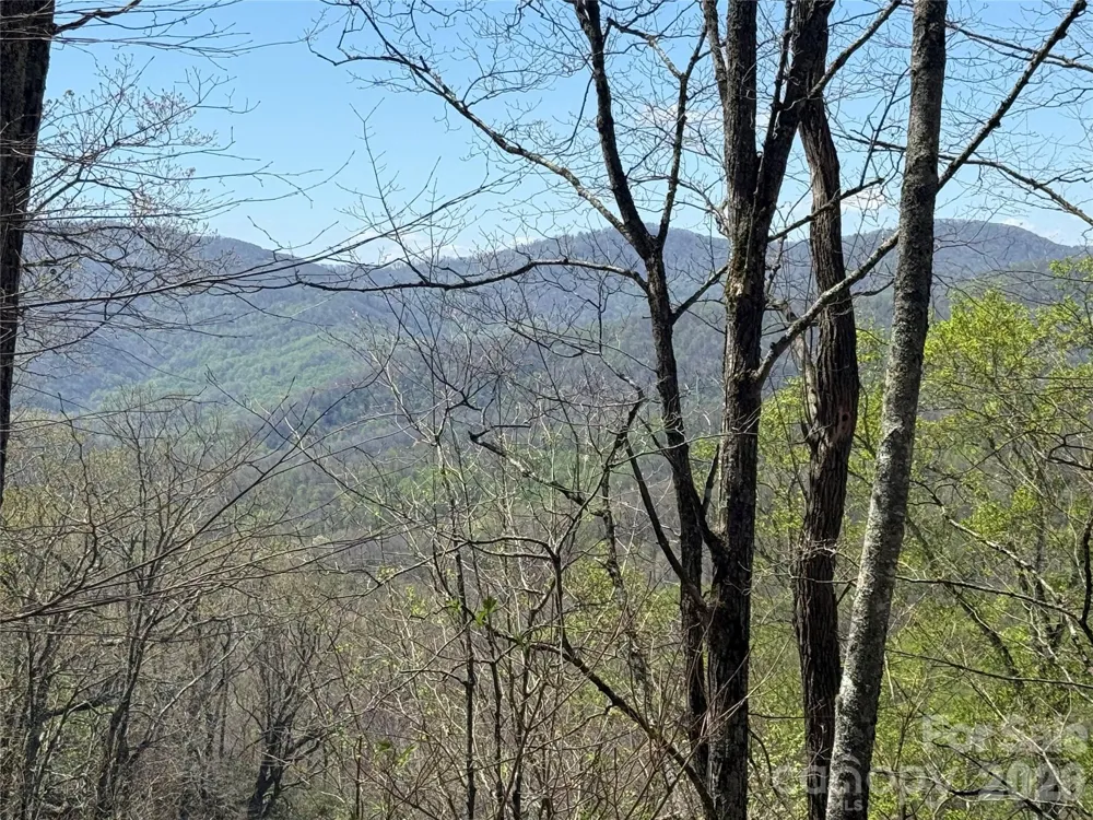 24 Elk Mountain Loop Newland, NC 28657