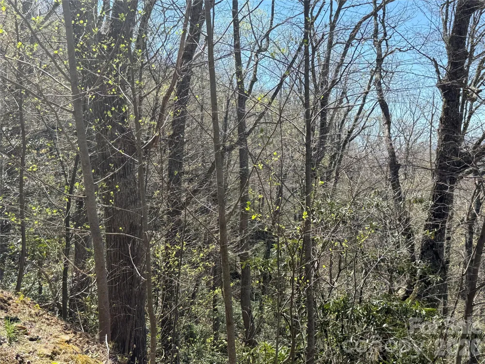 24 Elk Mountain Loop Newland, NC 28657