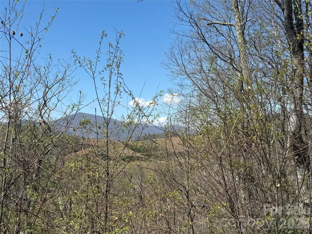 24 Elk Mountain Loop Newland, NC 28657