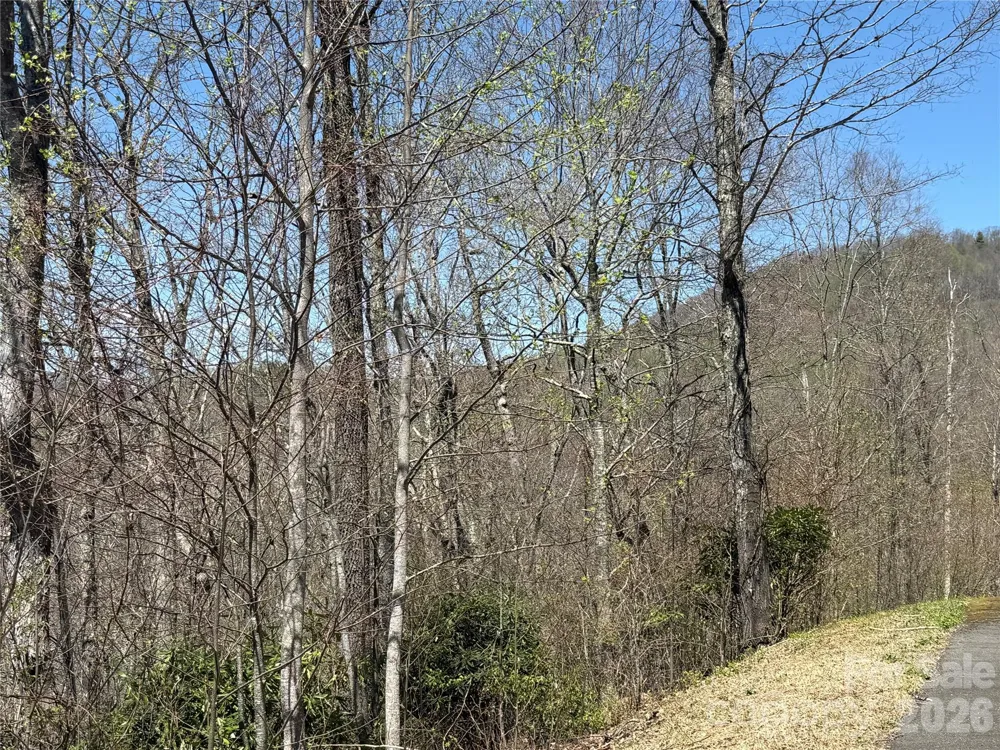 24 Elk Mountain Loop Newland, NC 28657