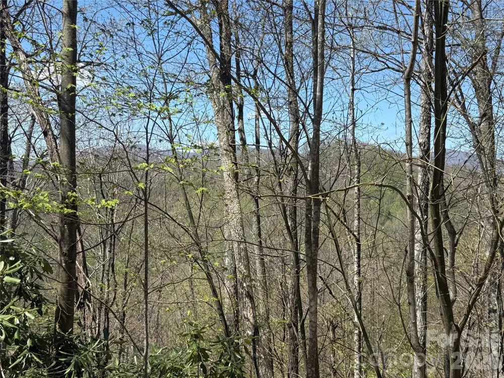 24 Elk Mountain Loop Newland, NC 28657