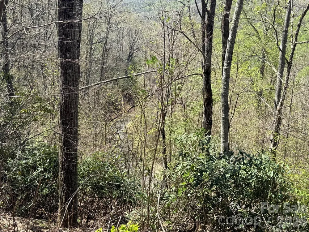 24 Elk Mountain Loop Newland, NC 28657