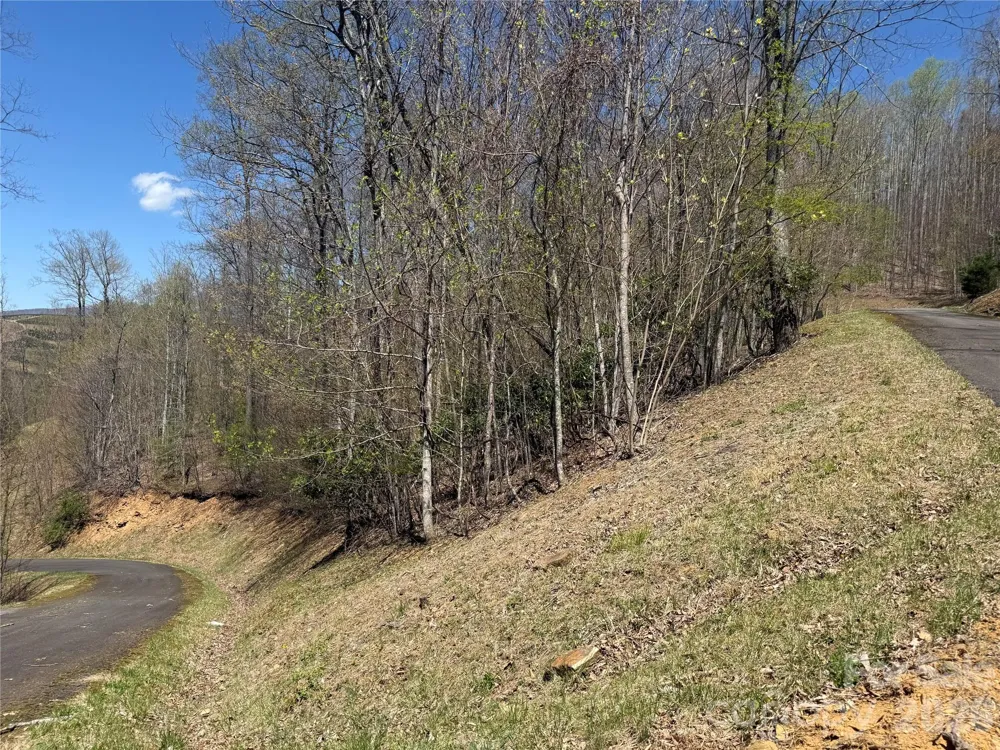 24 Elk Mountain Loop Newland, NC 28657