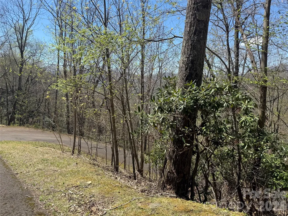 24 Elk Mountain Loop Newland, NC 28657