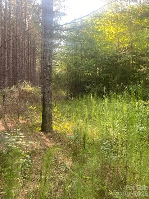 - Red Yam Farm Road Dallas, NC 28034