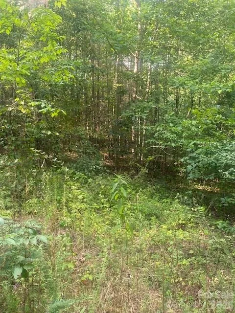 - Red Yam Farm Road Dallas, NC 28034