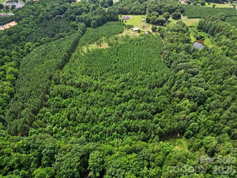 - Red Yam Farm Road Dallas, NC 28034