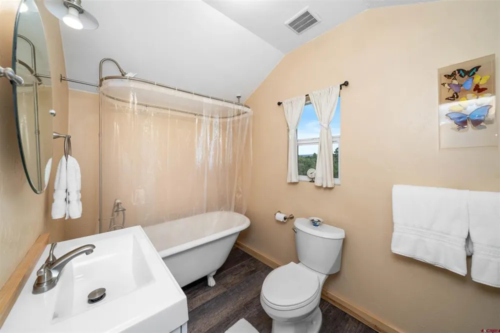333 Marys Road Ridgway, CO 81432