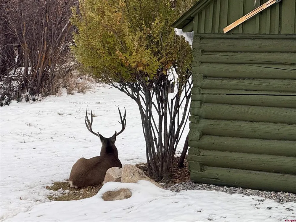 333 Marys Road Ridgway, CO 81432