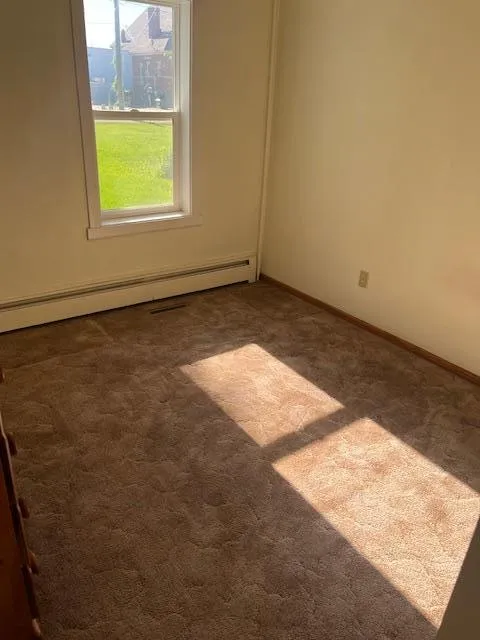 317 1st Avenue SW Hankinson, ND 58041