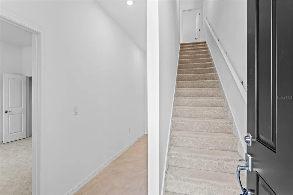 9612 MONTAGUE STREET Westchase, FL 33626