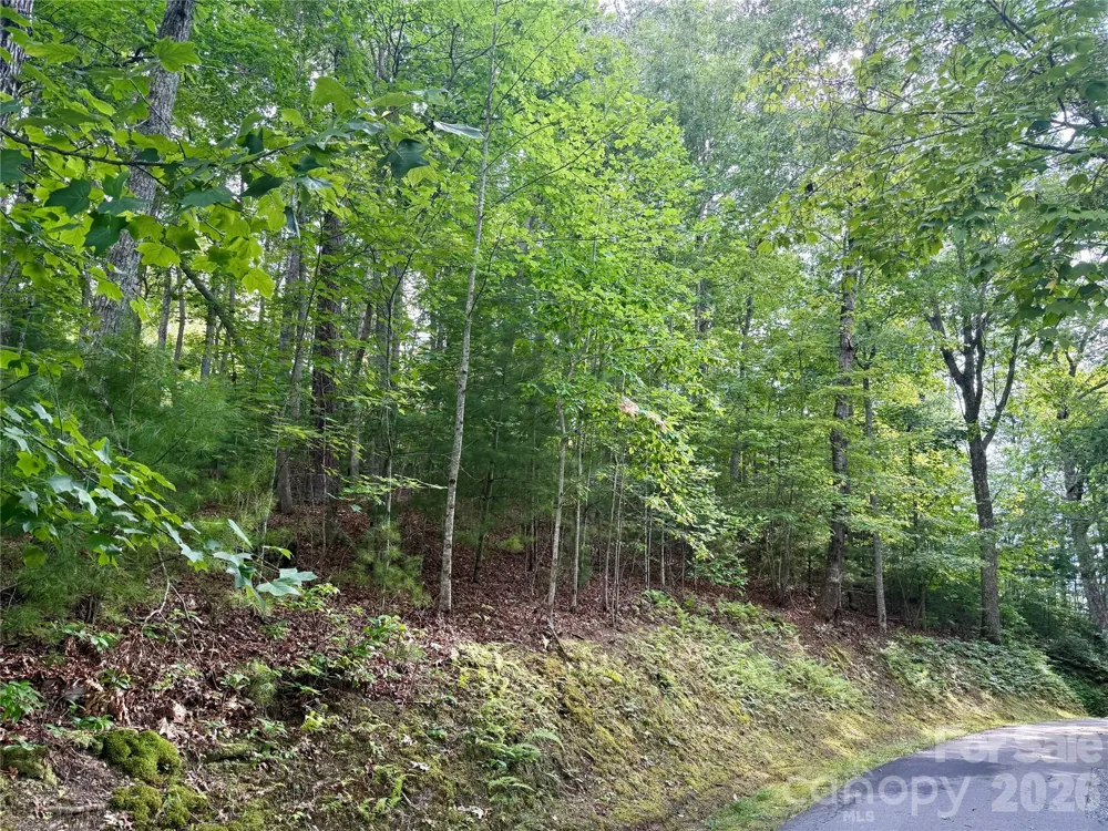 75 Longview Court #4 Marshall, NC 28753