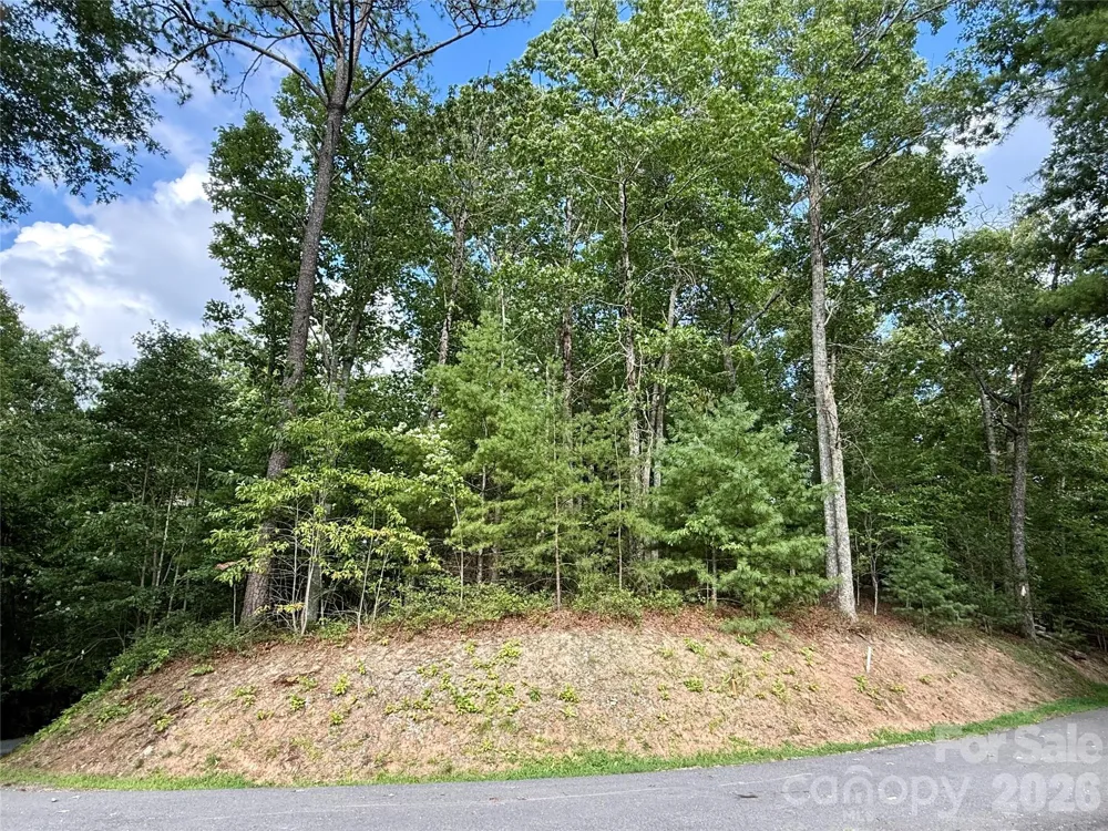 75 Longview Court #4 Marshall, NC 28753