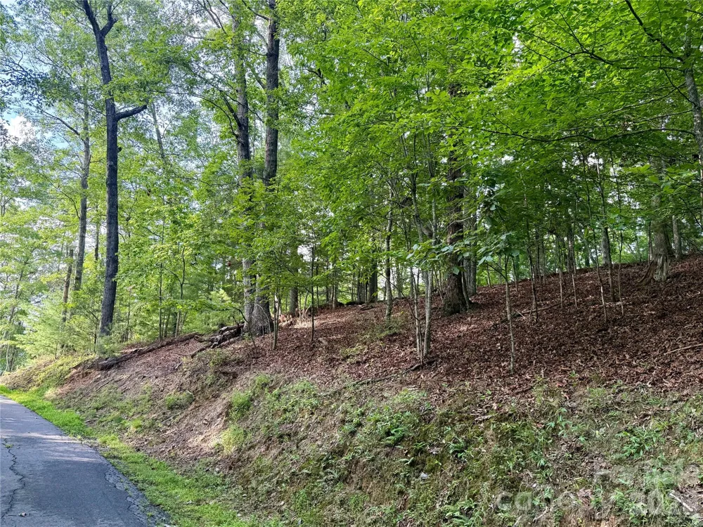 75 Longview Court #4 Marshall, NC 28753
