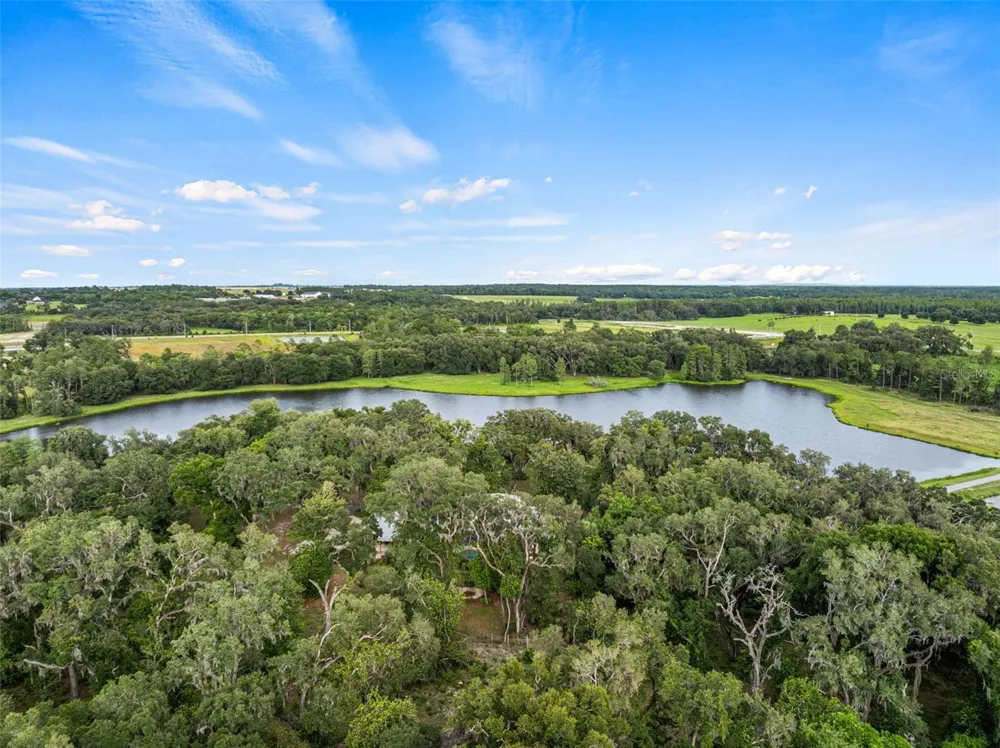 33415 KIEFER ROAD Wesley Chapel, FL 33545