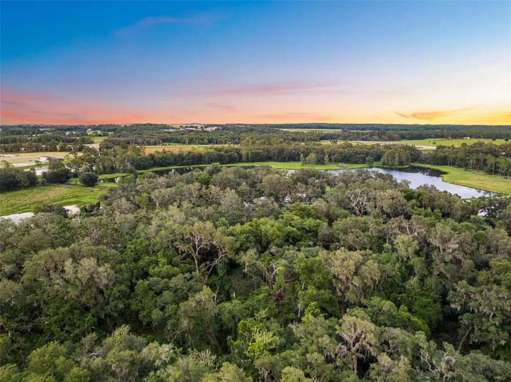 33415 KIEFER ROAD Wesley Chapel, FL 33545