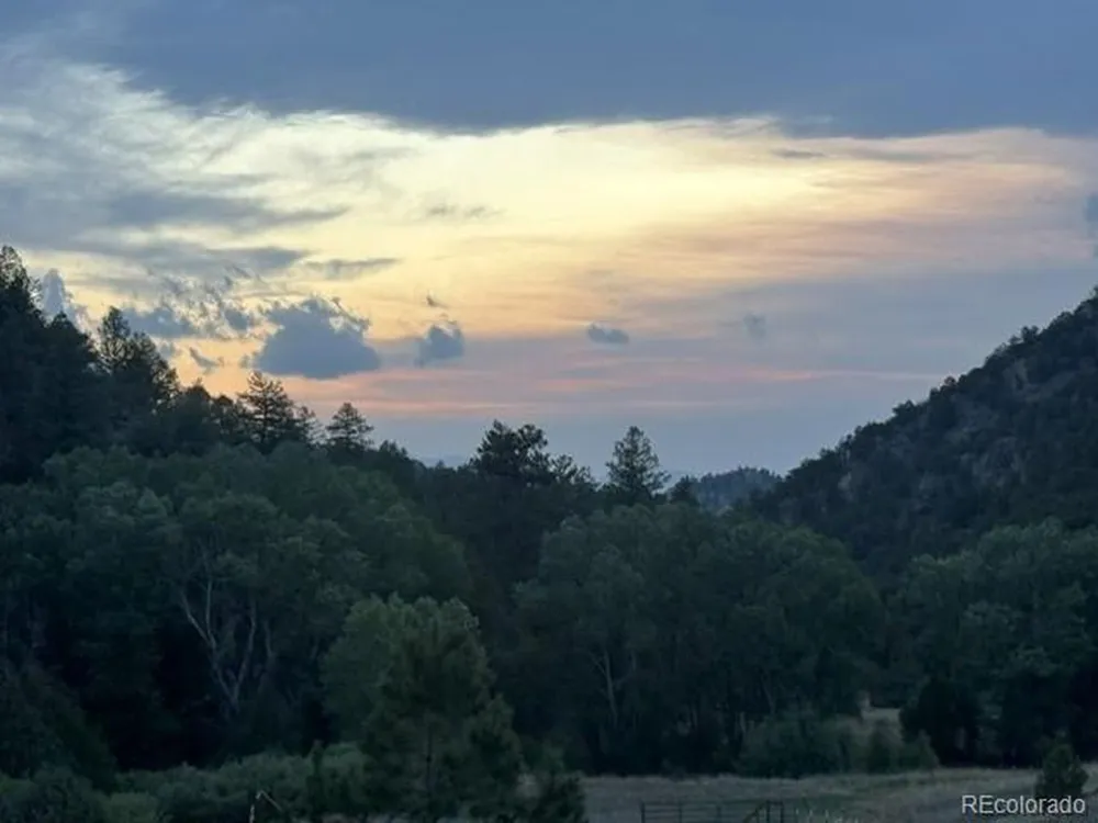 1420 Coyote Run Cotopaxi, CO 81223