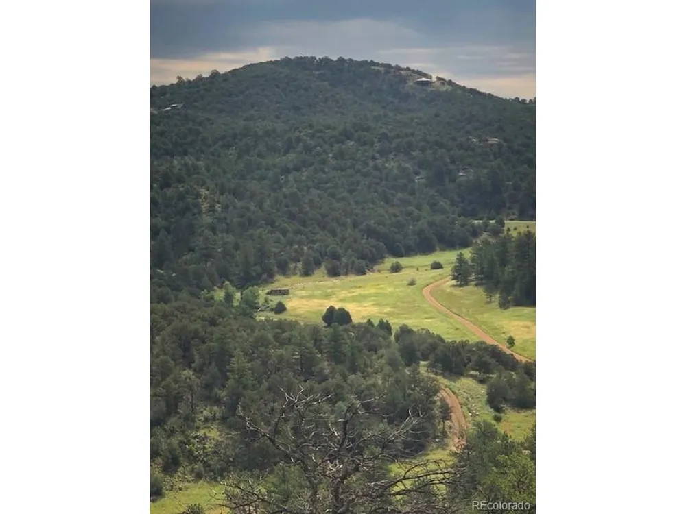 1420 Coyote Run Cotopaxi, CO 81223