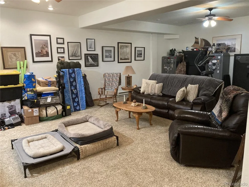 1420 Coyote Run Cotopaxi, CO 81223