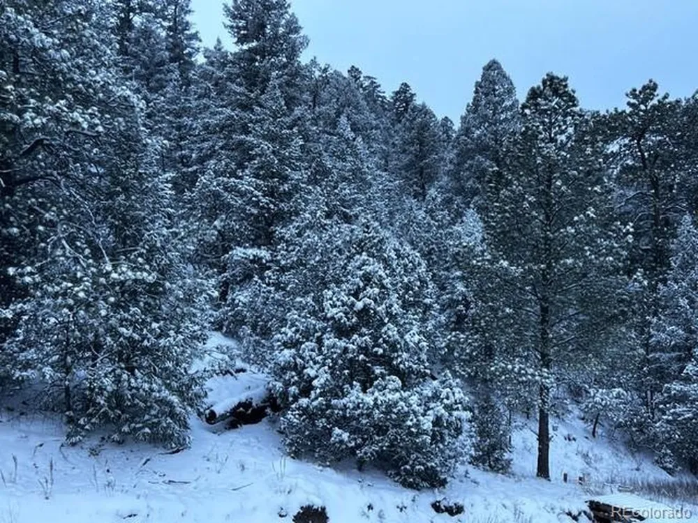 1420 Coyote Run Cotopaxi, CO 81223