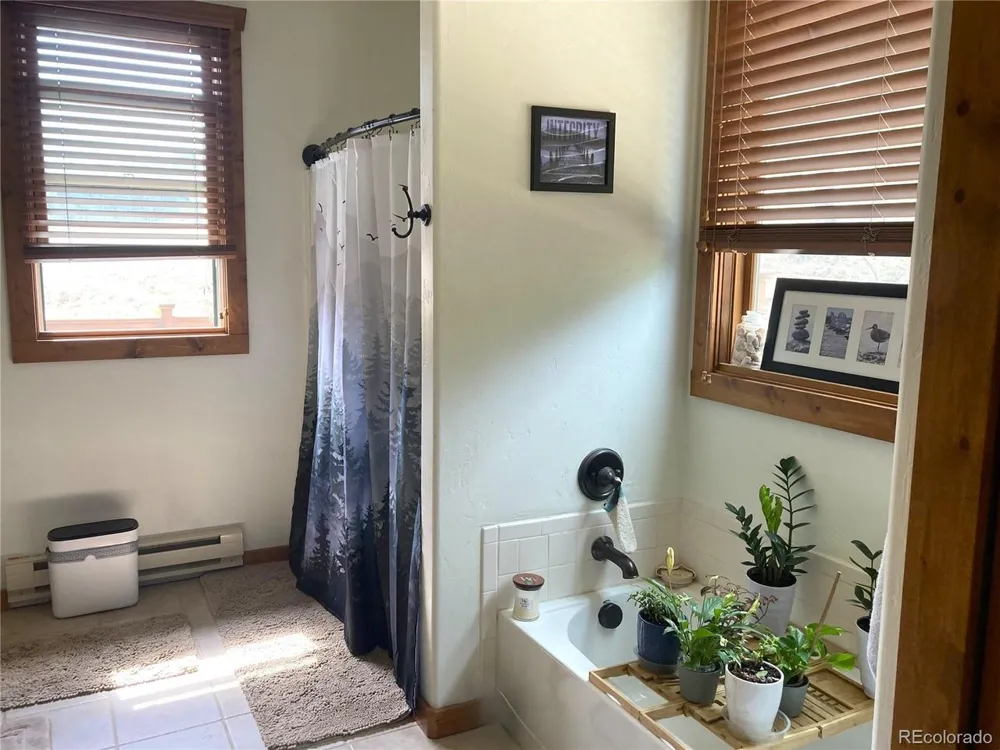1420 Coyote Run Cotopaxi, CO 81223