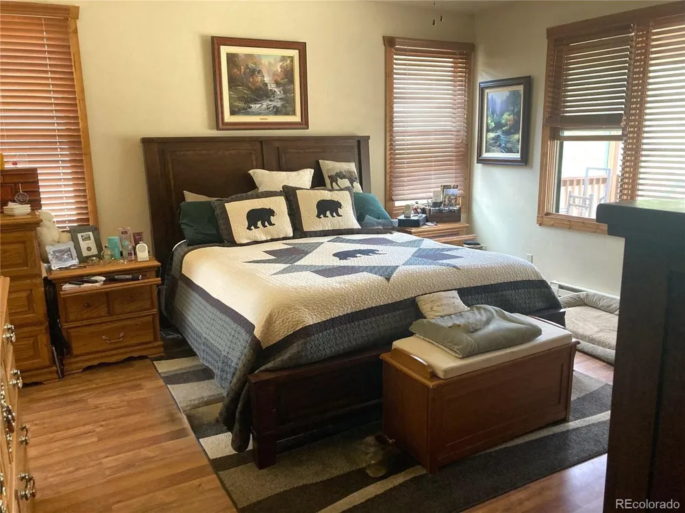 1420 Coyote Run Cotopaxi, CO 81223