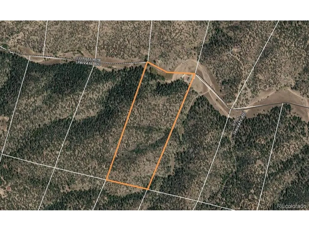 1420 Coyote Run Cotopaxi, CO 81223