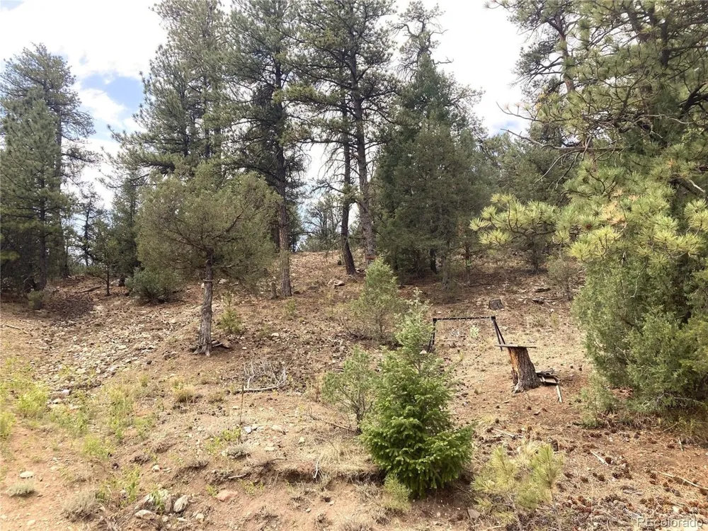 1420 Coyote Run Cotopaxi, CO 81223